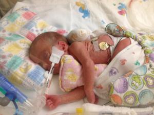 Bristol hugging pillow